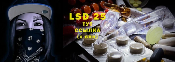 прущие грибы Абаза