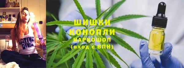 гидра Алексин