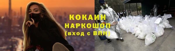 прущие грибы Абаза