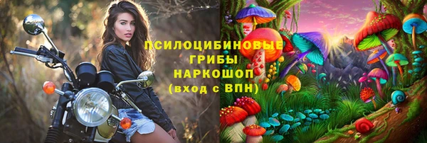 ПСИЛОЦИБИНОВЫЕ ГРИБЫ Алексеевка