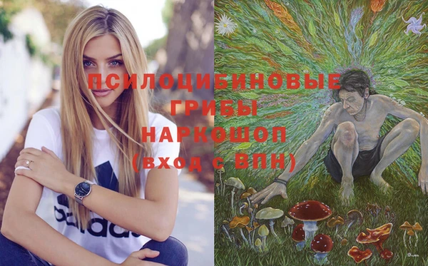 твердый Алзамай