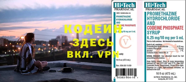 прущие грибы Абаза