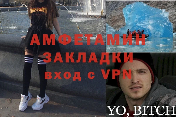 прущие грибы Абаза